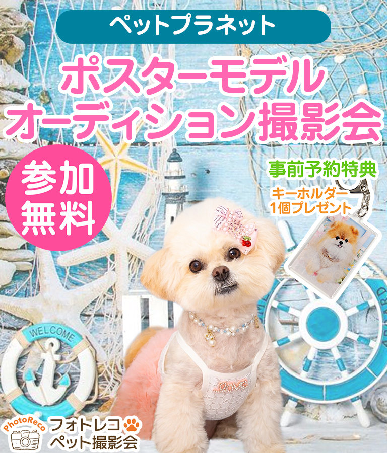 ポスターモデルオーディション撮影会（6月開催）【西川田店＋真岡店＋今市店】