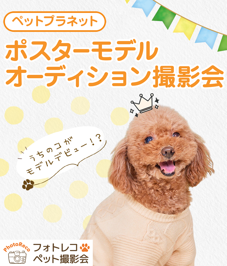 ポスターモデルオーディション撮影会（6月開催）【西川田店＋真岡店＋今市店】