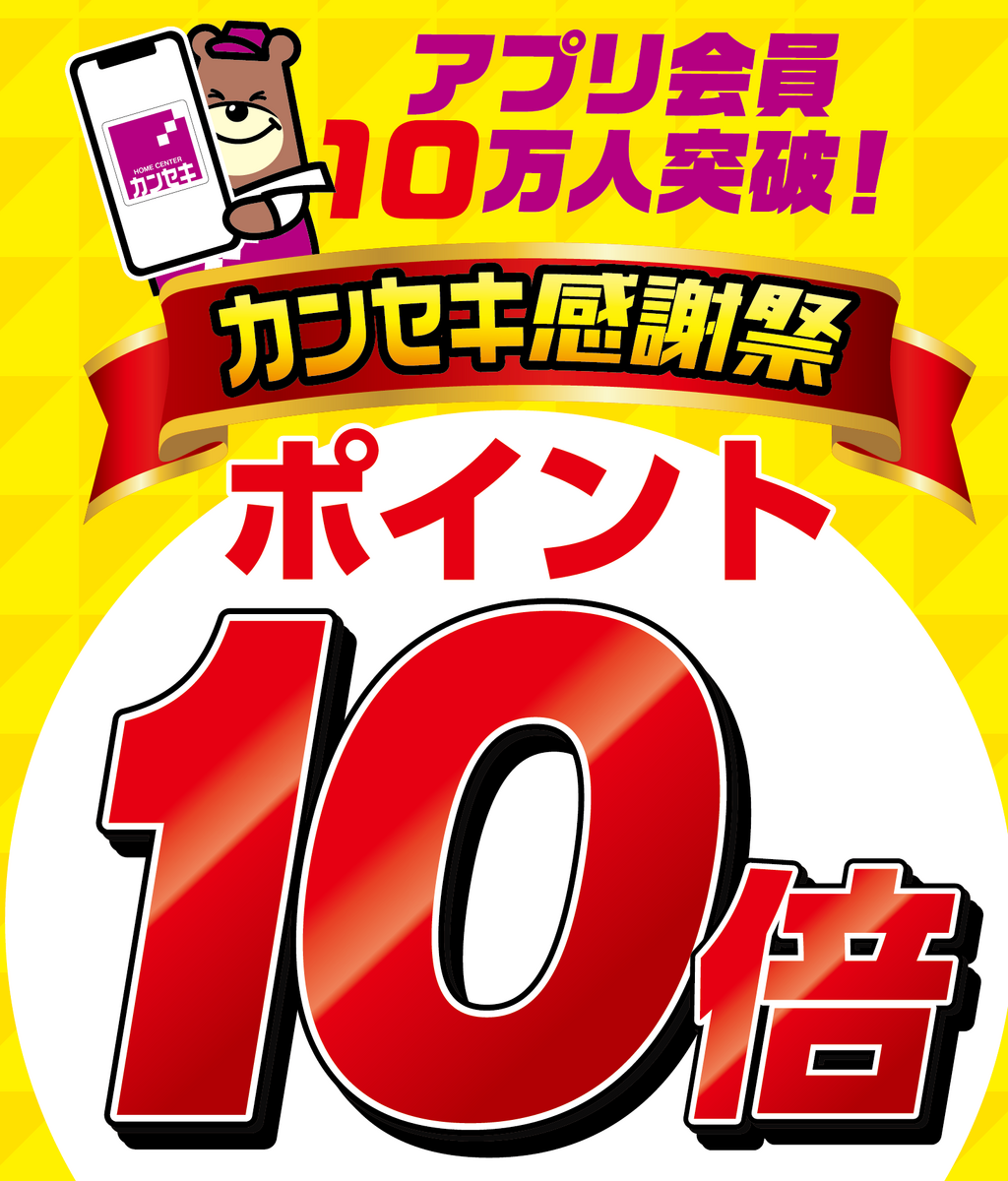 0429号 10倍Pセール（追っかけチラシ